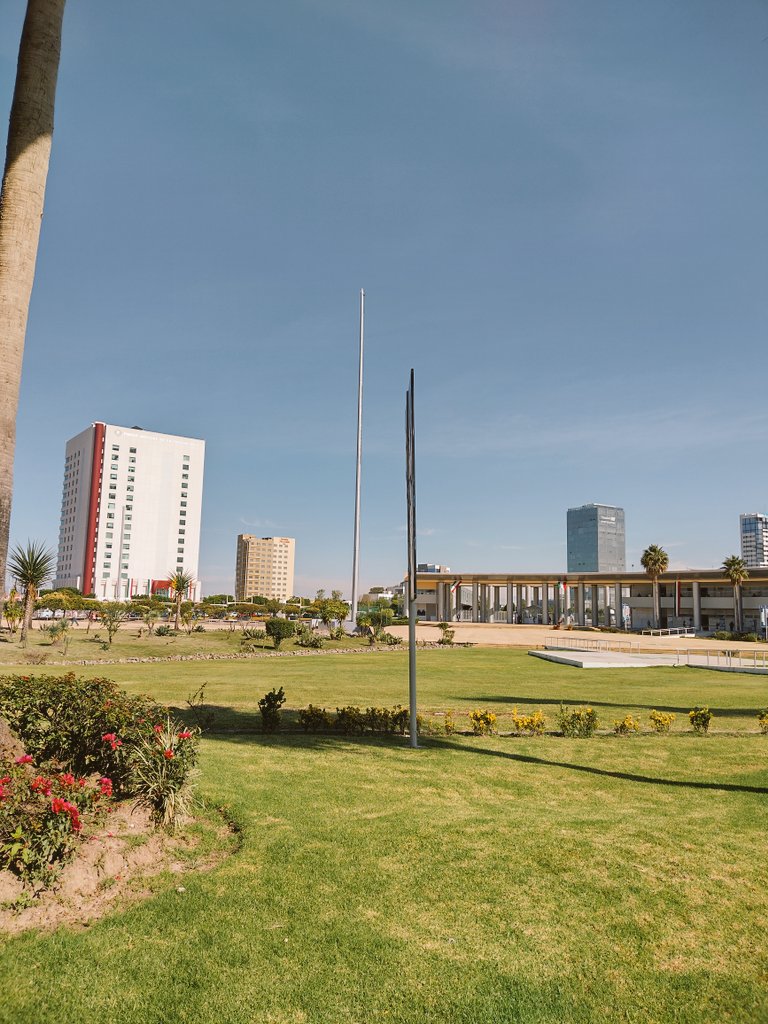 Llegó el otoño y con este cambio de estación, también llegó el momento de terminar tu relación tóxica, y divorciarte, por fin del cacas, contactame, estoy a tus órdenes.