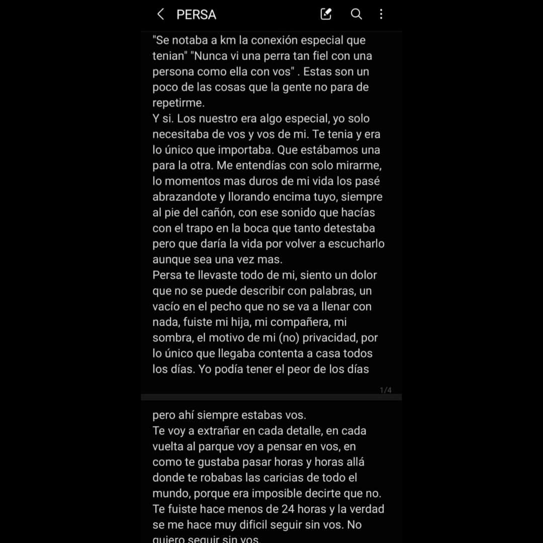 RattelMile's tweet photo. Para mi re amor eterno, con nuestra ultima foto juntas🤍 https://t.co/dh2cMBV2QJ
