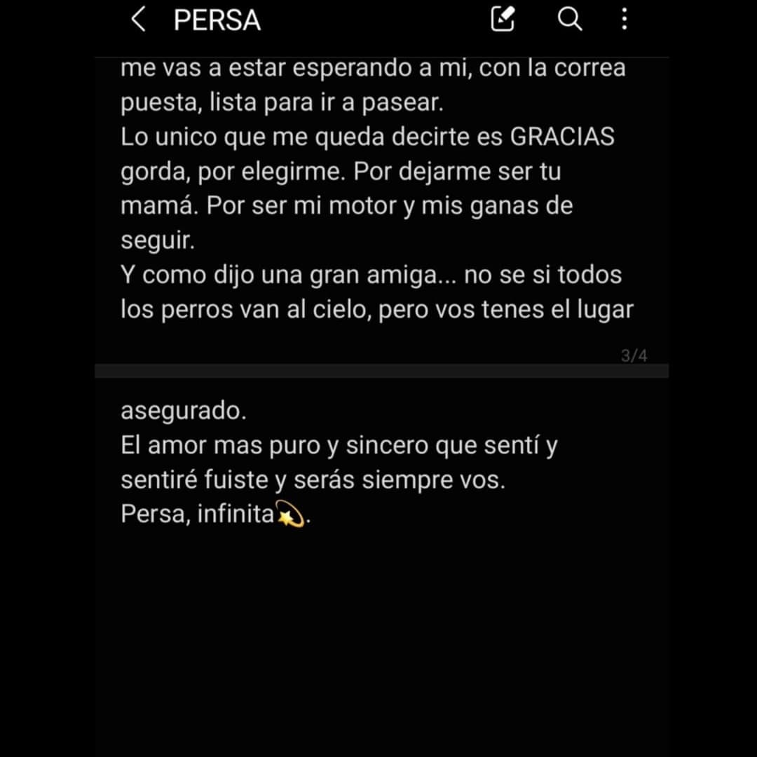 RattelMile's tweet photo. Para mi re amor eterno, con nuestra ultima foto juntas🤍 https://t.co/dh2cMBV2QJ