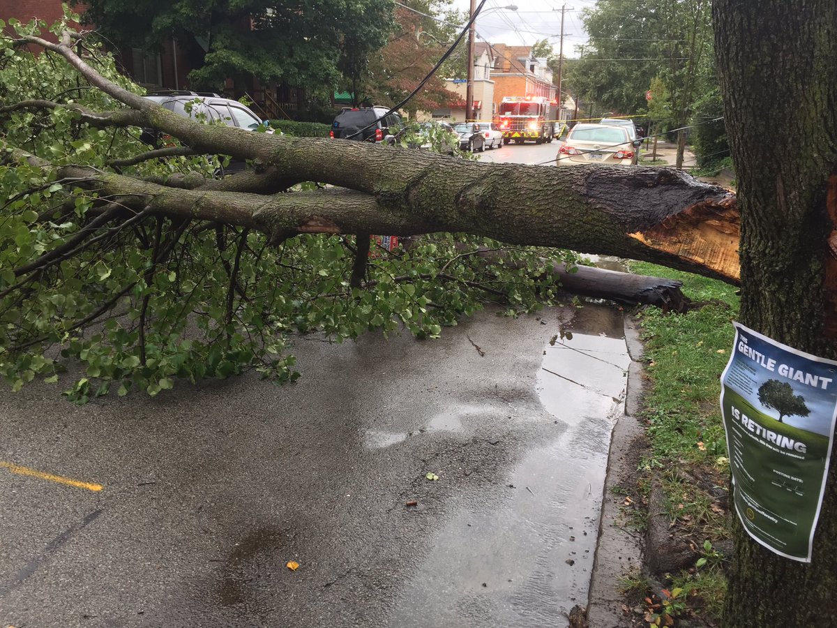 Ben Schenck tweet media