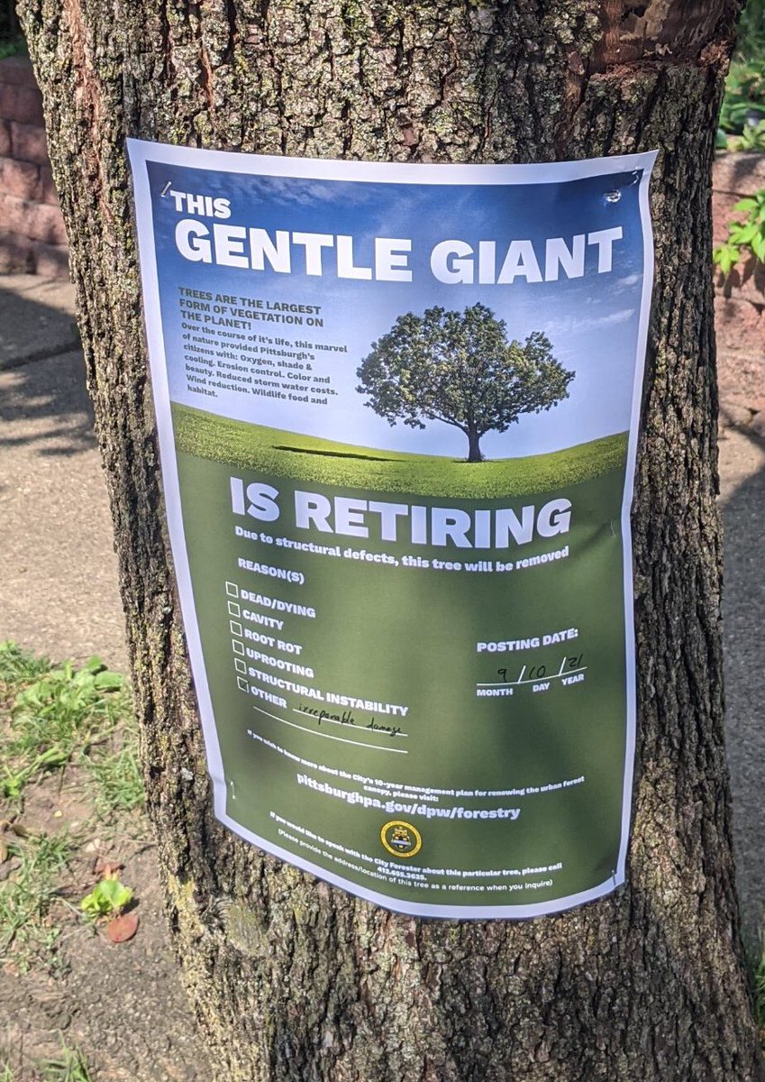 Ben Schenck tweet media