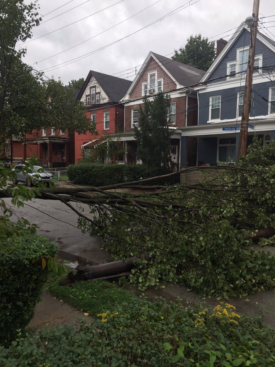 Ben Schenck tweet media