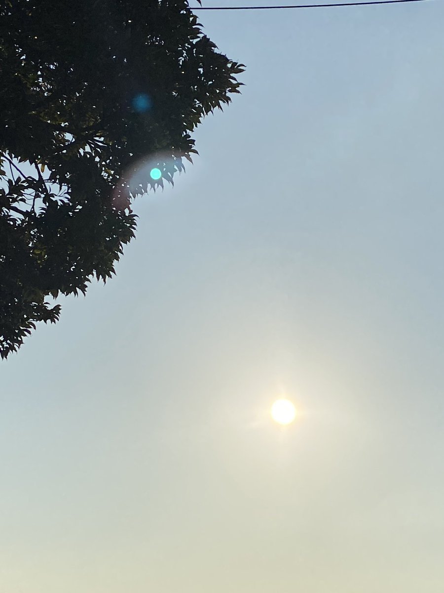 wind_Tiamat's tweet photo. おはようございます😊

秋分の日🍁

移りゆく季節の中
変わっていくもの
変わらないもの
変えちゃいけないもの

何が大切で
何を軸にして生きるのか

暑さ寒さも彼岸まで
体調には一層気をつけて
過ごしていきましょう☺️

今日も心地よい一日を🍀 https://t.co/5qYrYFT851