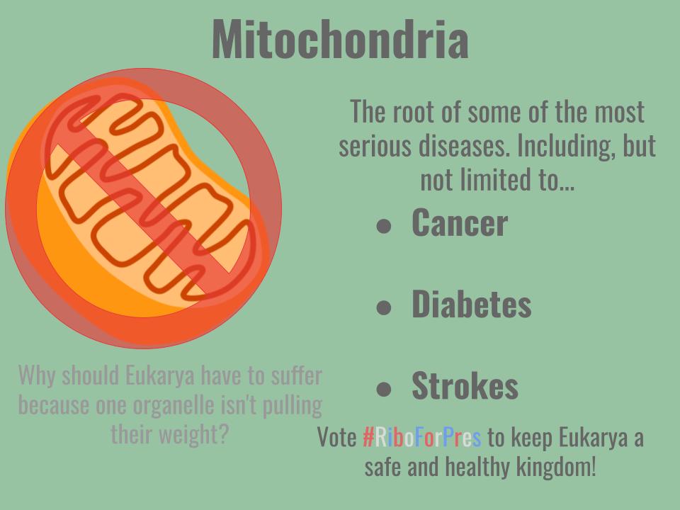 RibosomeP5's tweet photo. @mightymitooo You not doing your part effects us all in a negative way! Vote #RiboForPres to keep Eukarya strong!
@murphyapbio https://t.co/rH1mSF5DJH