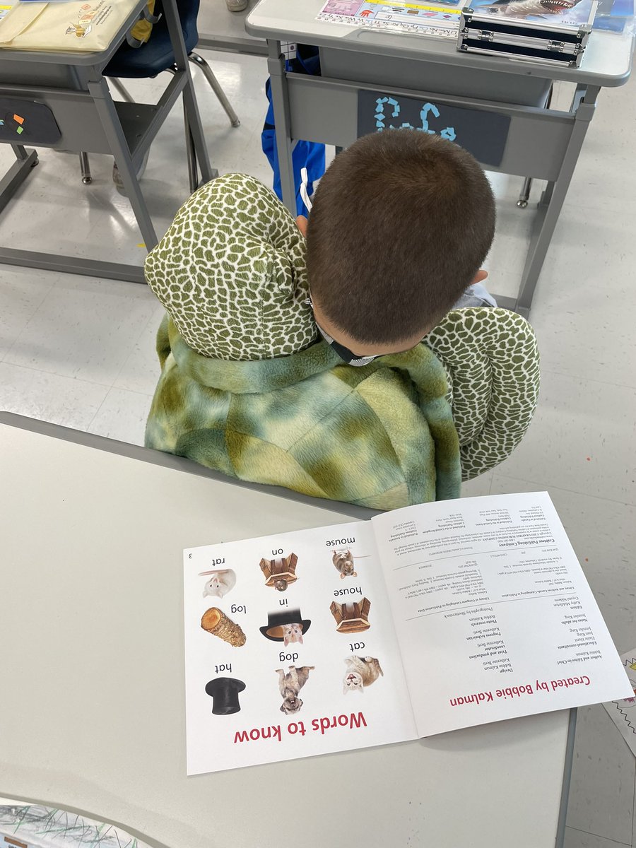 TeacherTess4's tweet photo. Students earned their first class prize and voted on a stuffed animal day! Go first grade! ππΌπ₯° @GreystoneES #teamGES https://t.co/dcmjT8yWQL