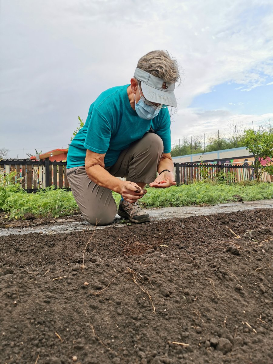 FaithMinistryMX's tweet photo. They helped serve breakfast to the kids in our nutrition program, they planted squash and carrot seeds and harvested peppers in the Naranjito garden, they distributed grocery packages to families in the community, and they assisted with the infant feeding program at the clinic! https://t.co/1UDR3H3HiE