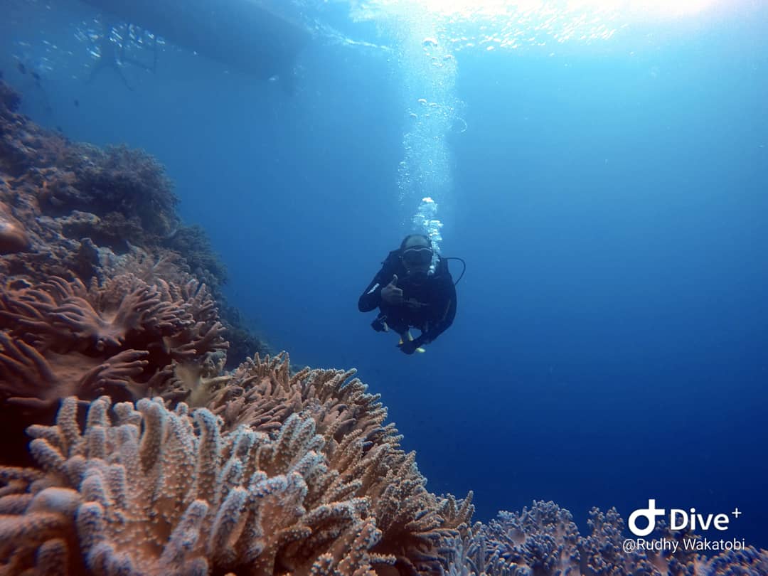 Rudhy_wakatobi's tweet photo. Discovery scuba diving / try dive👌👌
#wakatobidivingholiday #goprohero4 #trydive #scuba #scubadiving #diving #DIVE #NAUI #underwater https://t.co/tTUDEt6aDa