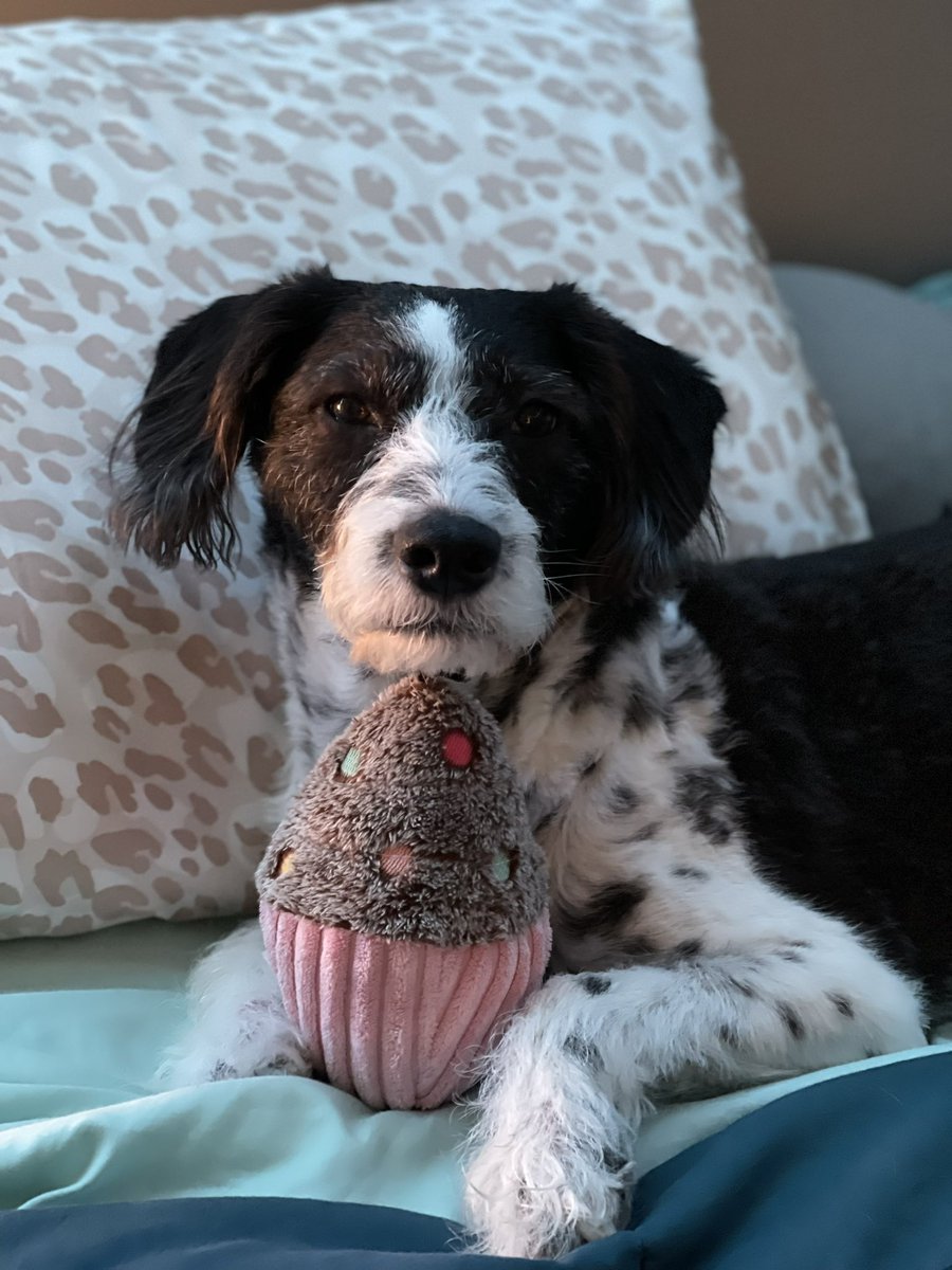 owenskerri's tweet photo. Satin pillowcases and cupcakes ❤️ https://t.co/NVTyZ2trq4