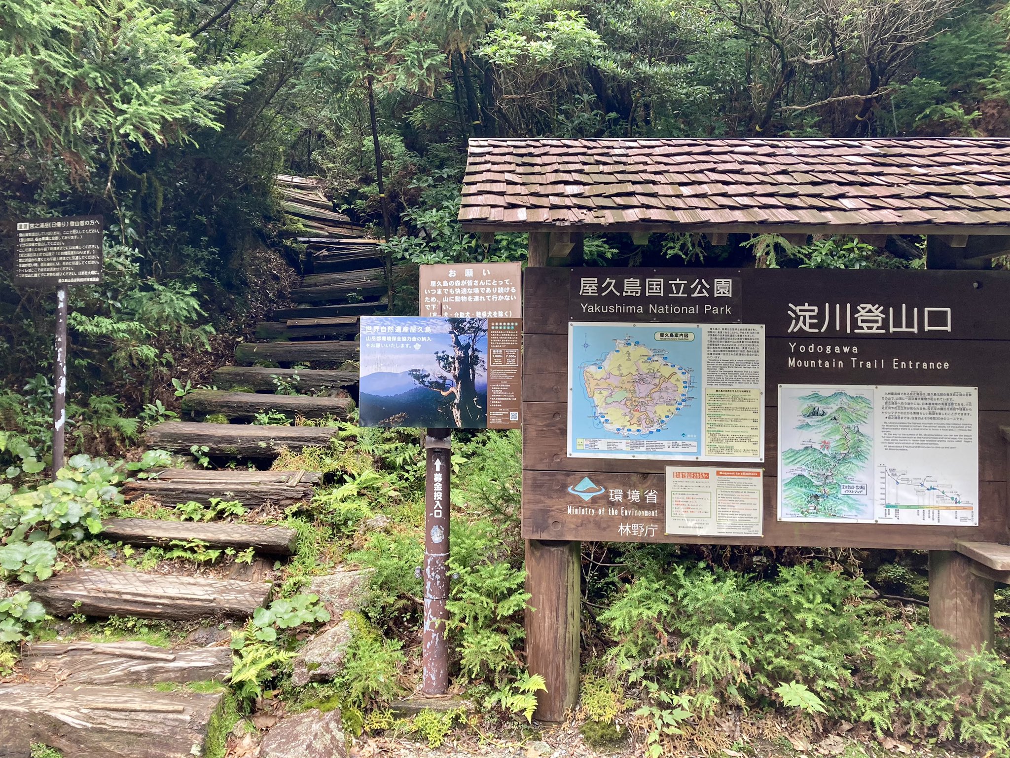 Allan Accrei Twitter