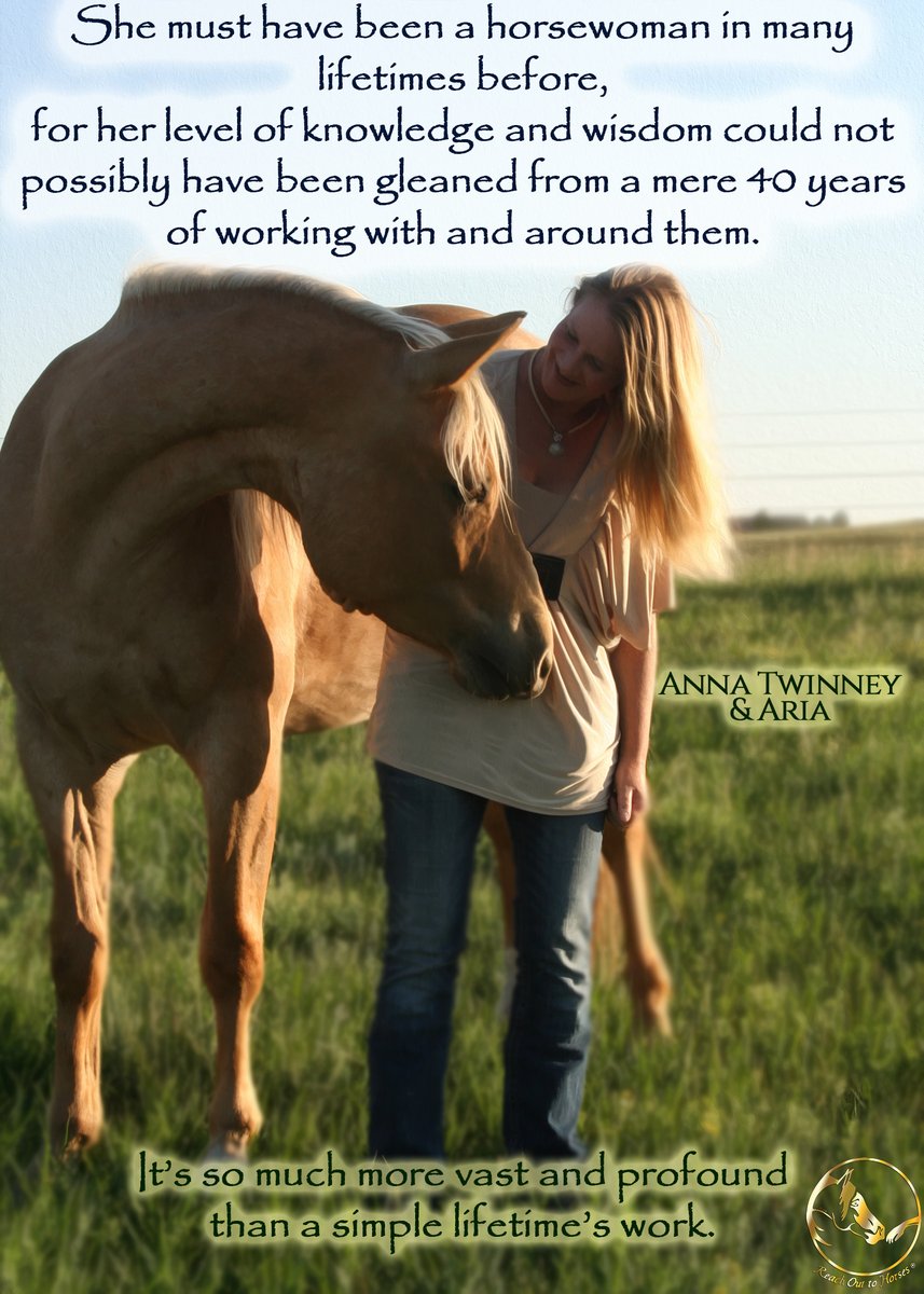 Reach Out to Horses-Horsemanship, Animal Communication, Energy Healing
