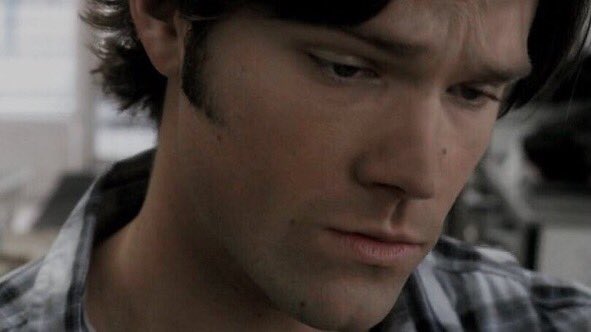 sam’s nose (@dailysamnose) on Twitter photo 