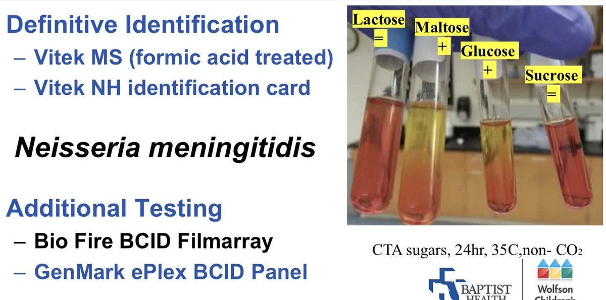 odie0222's tweet photo. Colony morphology, identification methods, AST information #IdBoardReview #PathTwitter #PediPath #ASCPSoMeTeam #ASCP2021 #micromed #PathTweetAward https://t.co/XHXT81augj