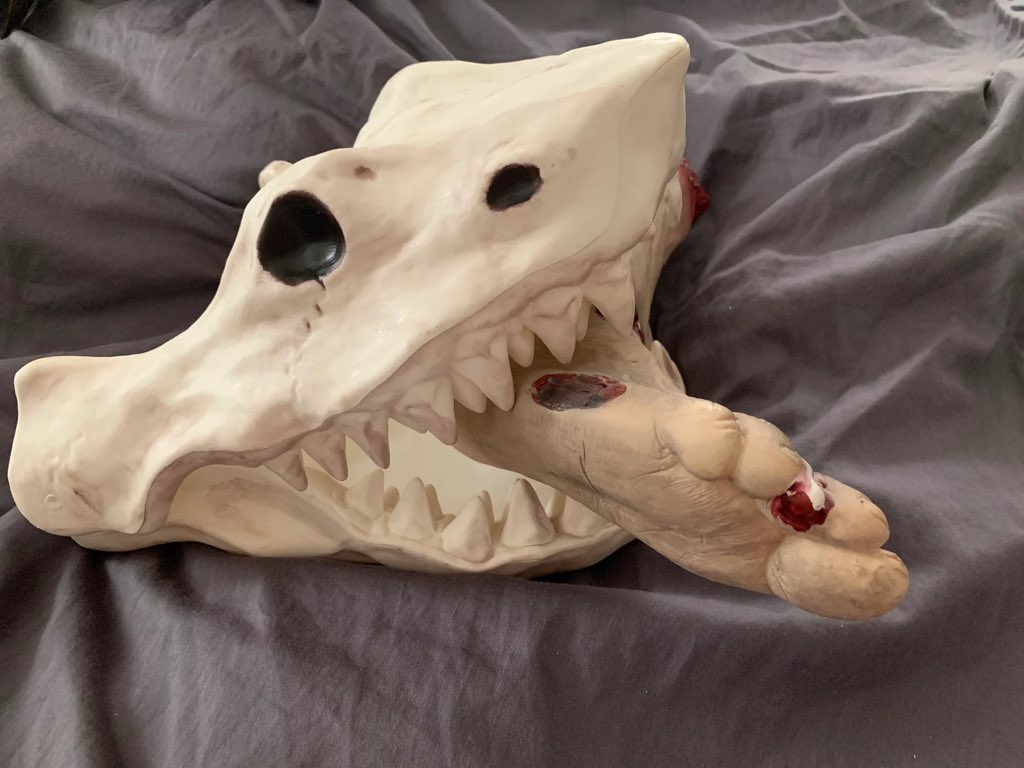 songeist's tweet photo. @EthanMAldridge Ah yes the well known shark skull https://t.co/22QggggSzh