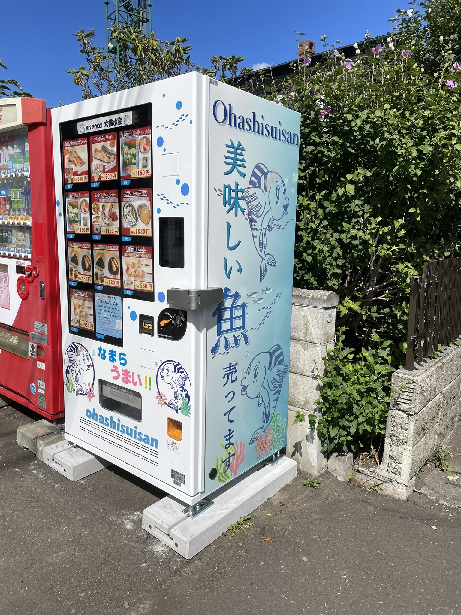 株式会社フジウロコ大橋水産 Ohashisuisan1 Twitter