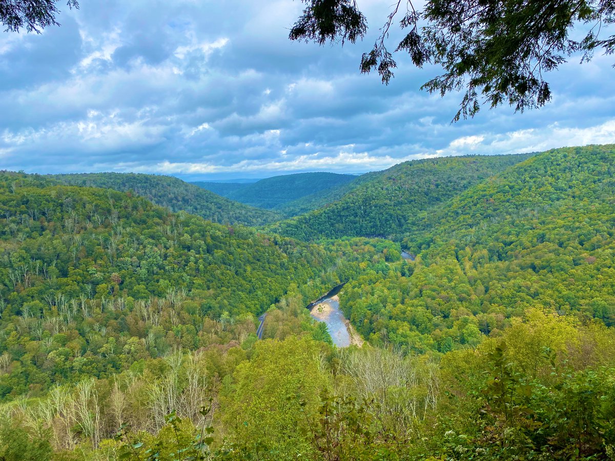 BellaBoosBros's tweet photo. Canyon Vista- Loyalsock State Forest #EndlessMountains #Pennsylvania https://t.co/sJsikpCP6V