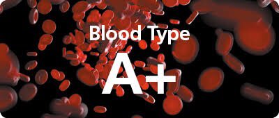 Kalabhairav9's tweet photo. #SOS 🆘 🚨 
#Hyderabad

Need #Blood🩸Type :  “A Positive”
Blood Component : Blood/Platelets
Illness : Dengue 

Contact Details:- 9346640293, G.Shiva Kumar
Hospital:- Aster Prime Hospital, Ameerpet 

@BloodDonorsIn @hydblooddonors @AD_BloodDonors https://t.co/iu39Ic6ISO