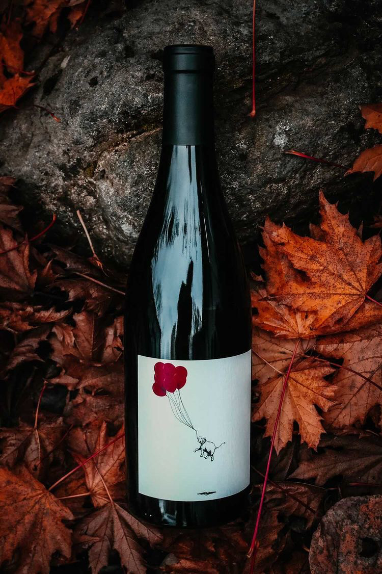 ElephantSeven's tweet image. #🍂 #Fall is here, hear the yell 🍂

#syrah #viognier #yellowbird #vineyard #firstdayoffall #fallishere #harvest #wawine #wallawalla #fallrelease #wine #fallleaves #elephant #seven #red #balloons #winelabel #whitestripes #weregoingtobefriends