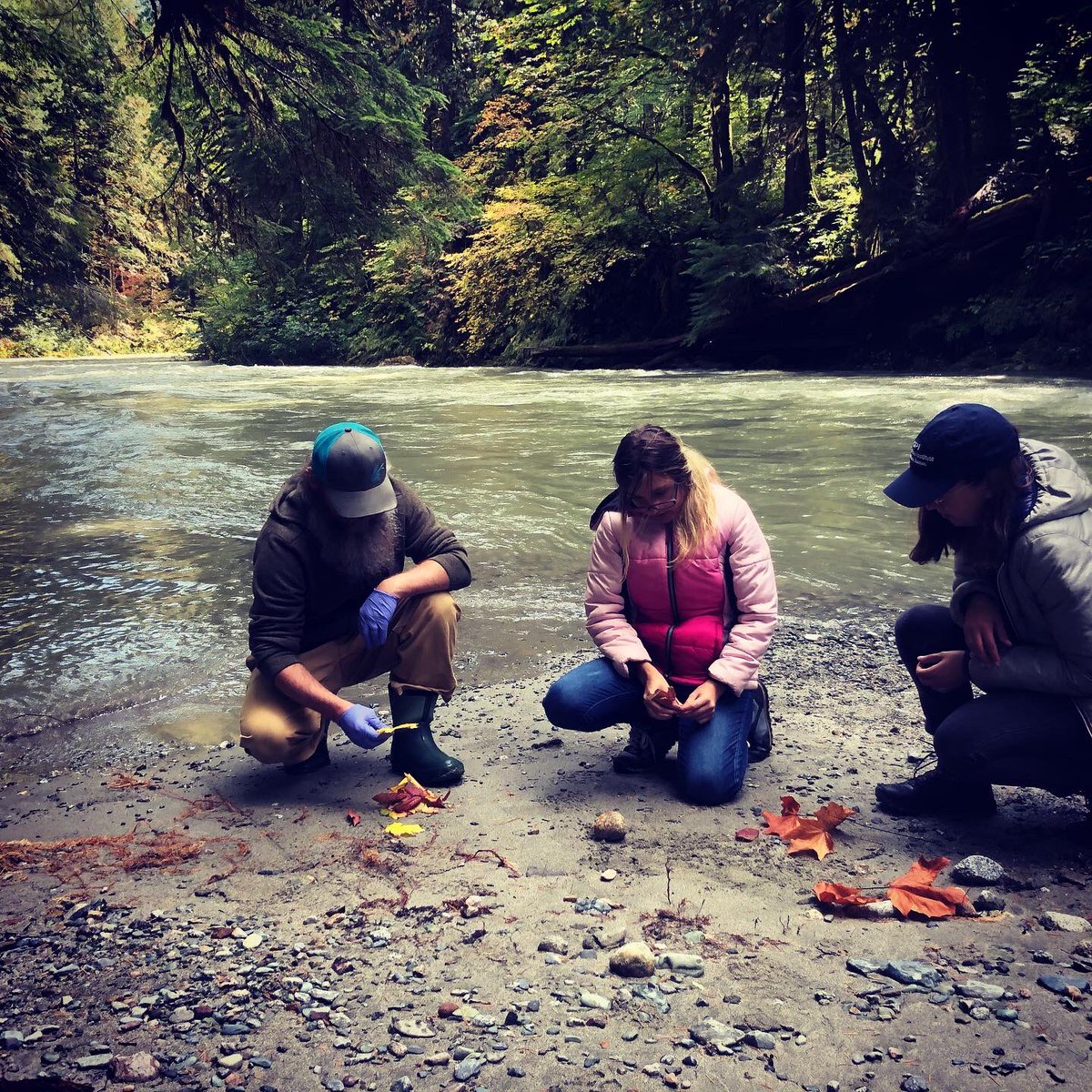 Happy #fallequinox! Have you seen the #salmon? Jump in and join us in #environmentalDNA sampling on Friday in the upper #skagitvalley and be part of the discovery and art of the <a href="/SalmonSchool/">Salmon School</a> by <a href="/JosephGRossano/">Joseph Gregory Rossano</a> 

.
#natureart #pnwonderland #environmentaleducation #washingtonstate