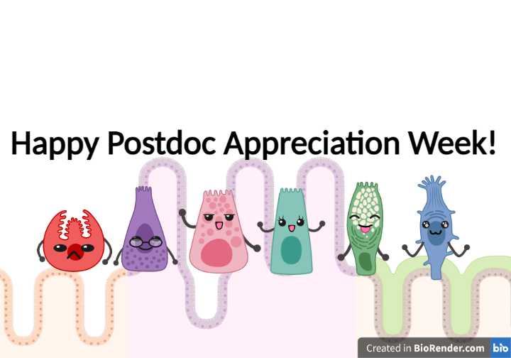 We are so grateful for all the amazing #postdocs &amp; their hard work! We want to thank the many postdocs that make our group so great #NPAW2021 #phdlife
@DrMeiCrawf <a href="/_HAMcCauley/">Heather McCauley</a> <a href="/stephaniejsking/">Stephanie King</a> <a href="/thekengevik/">Kristen Engevik</a> @GraceLBurns @DulariJayaward1 @bridie_jane <a href="/kyle_flannigan/">Kyle Flannigan</a>