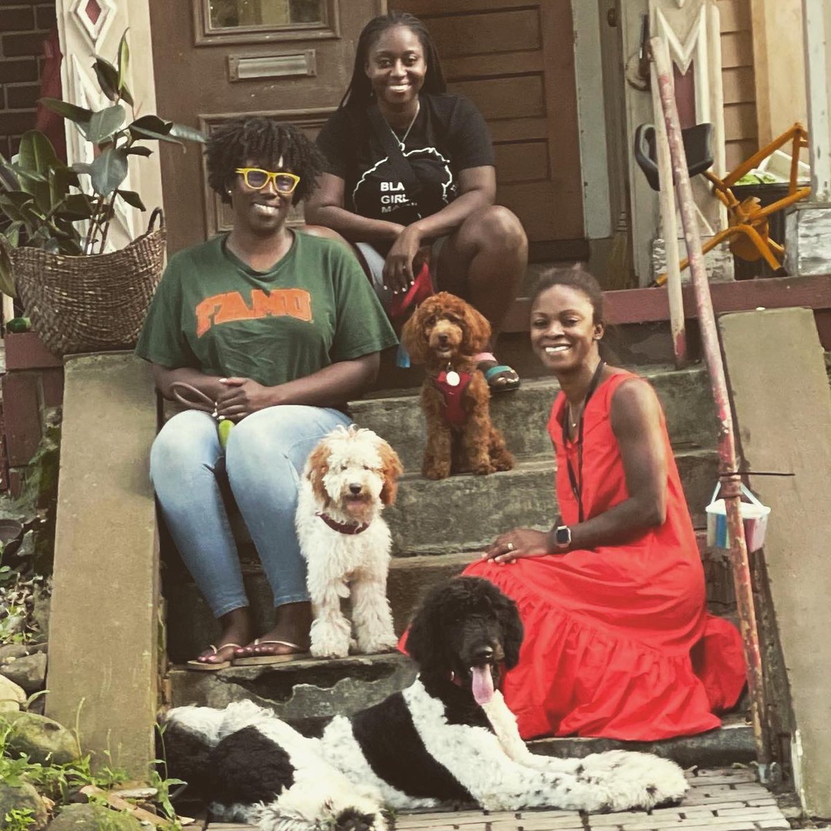 MelanatedDogMom's tweet photo. #themelanateddogmom #blackdogmoms #blackwomenlovedogs #dogsoftwitter #dogs #dogmom https://t.co/d4BLL9V47Q