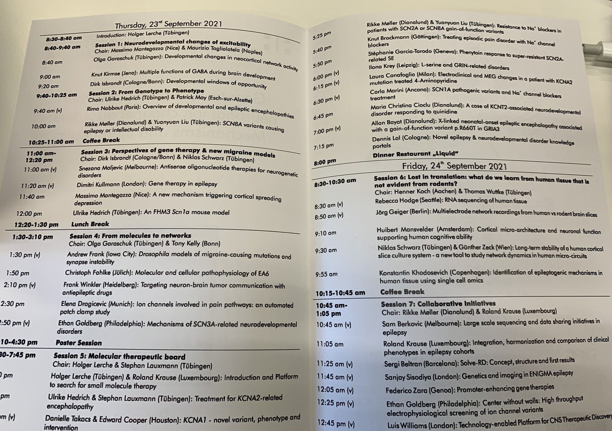 LalDennis's tweet photo. Genetic epilepsies &amp; other ion channel disorders conference 📈🧬: 

Day 1: Almost 30 talks ahead. Full schedule of amazing science. Lots of translational work. Amazing to see that the field is moving ahead fast even during a pandemic. https://t.co/ARperOqkEv