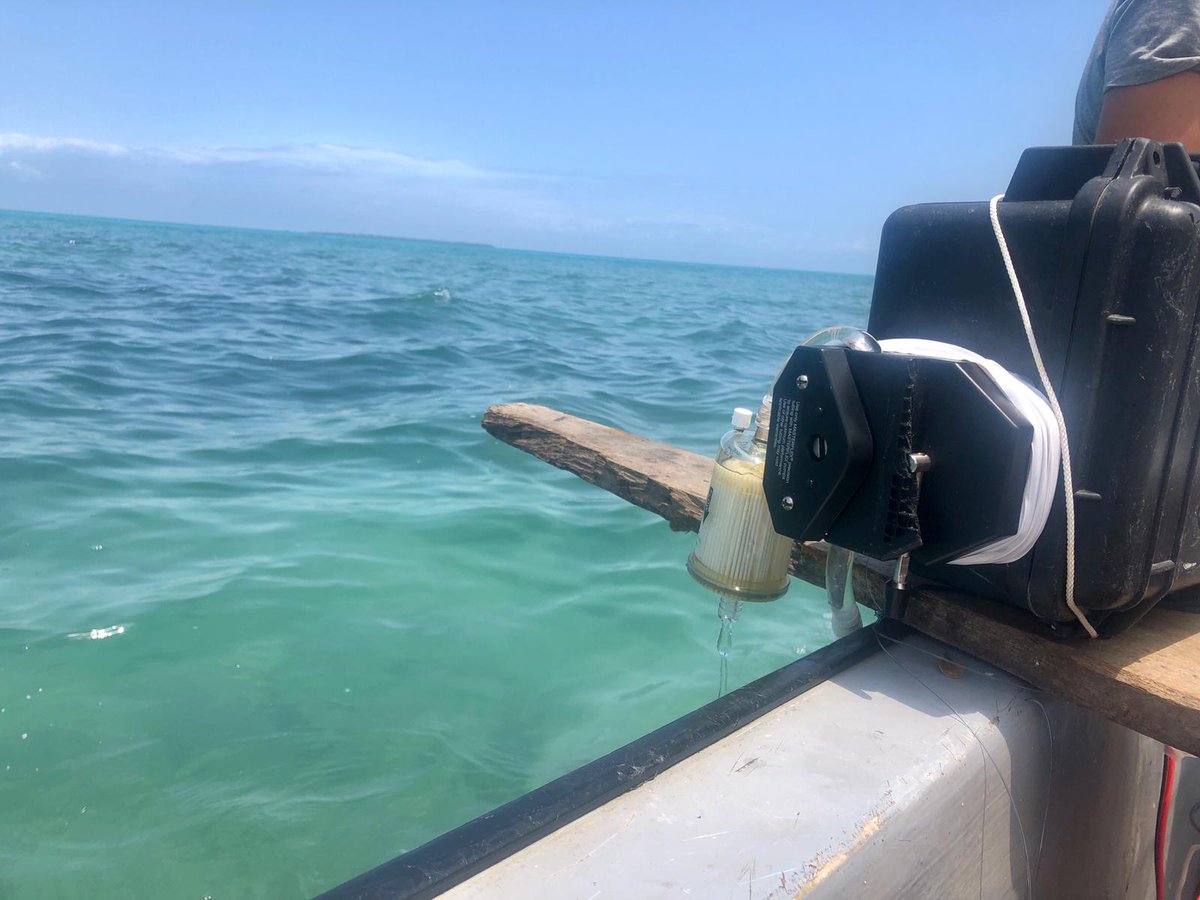 Our team is currently filtering #eDNA in 6 Tanzanian marine reserves to assess fish biodiversity

In parallel another group of scientists is carrying out a socioeconomic survey in coastal villages 18 years after Tobey &amp; Torell
doi.org/10.1016/j.ocec…

Funded by @IsiteMUSE <a href="/wiomsa/">WIOMSA</a>