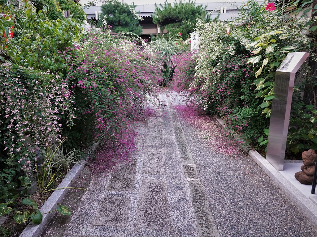 京都 伏見 勝念寺（かましきさん） tweet media