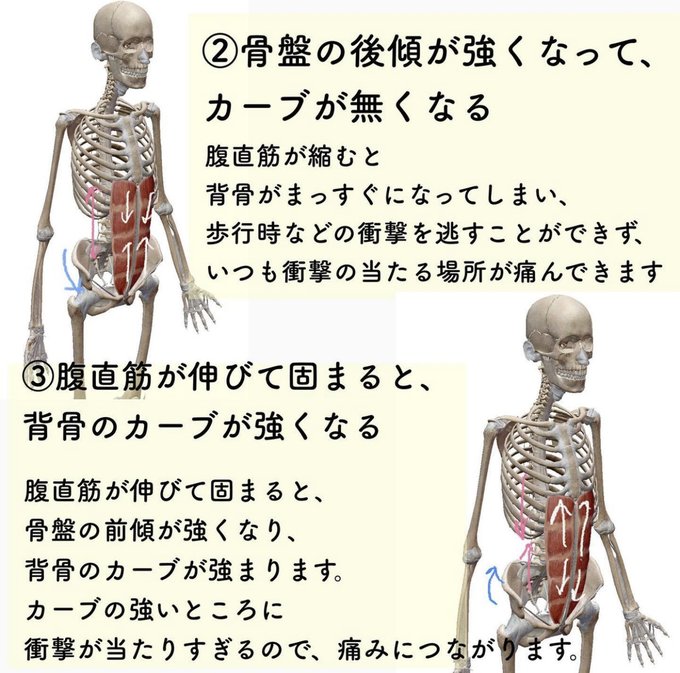 背骨のtwitterイラスト検索結果