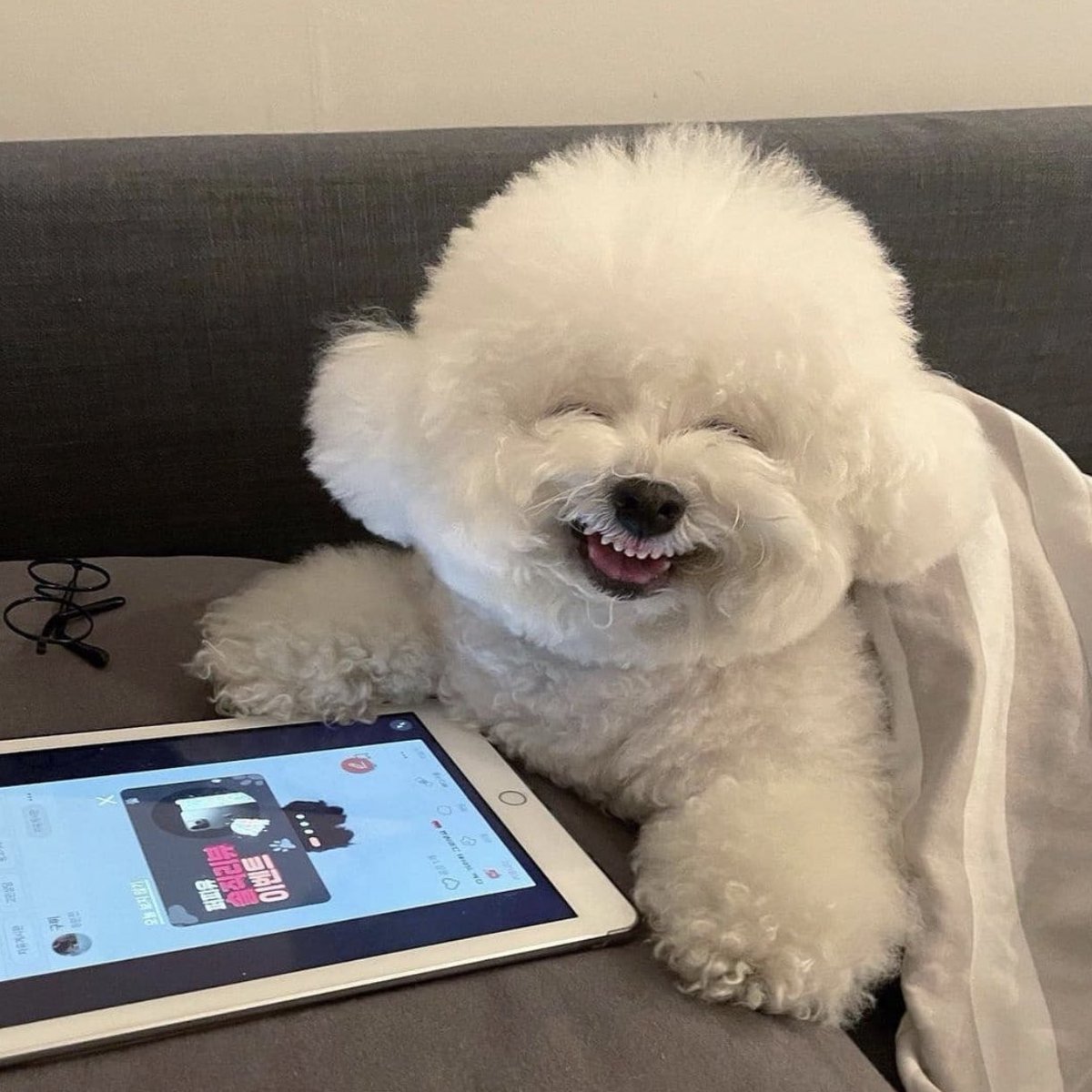 - ปิดแอค - tweet media