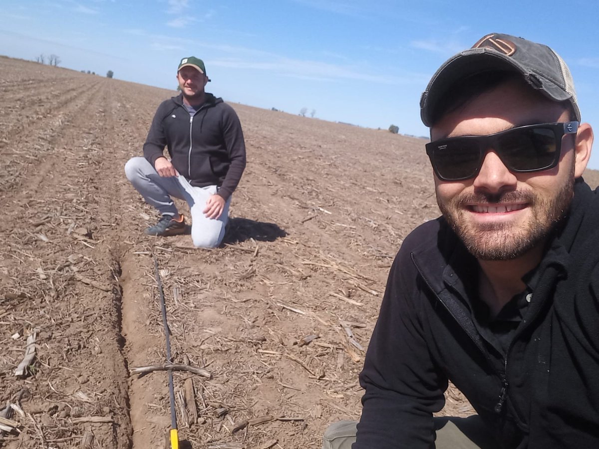 advantaseedsarg's tweet photo. Desde Cañada Rosquin @yost_alejandro y Marcos Picatti nos muestran que el ADV 5407 CL sembrado el 15/9/2021 viene con todo 🌻🙌
#girasol #cl #siembra #nuevaeraadvanta https://t.co/Xa4WYu3qIn