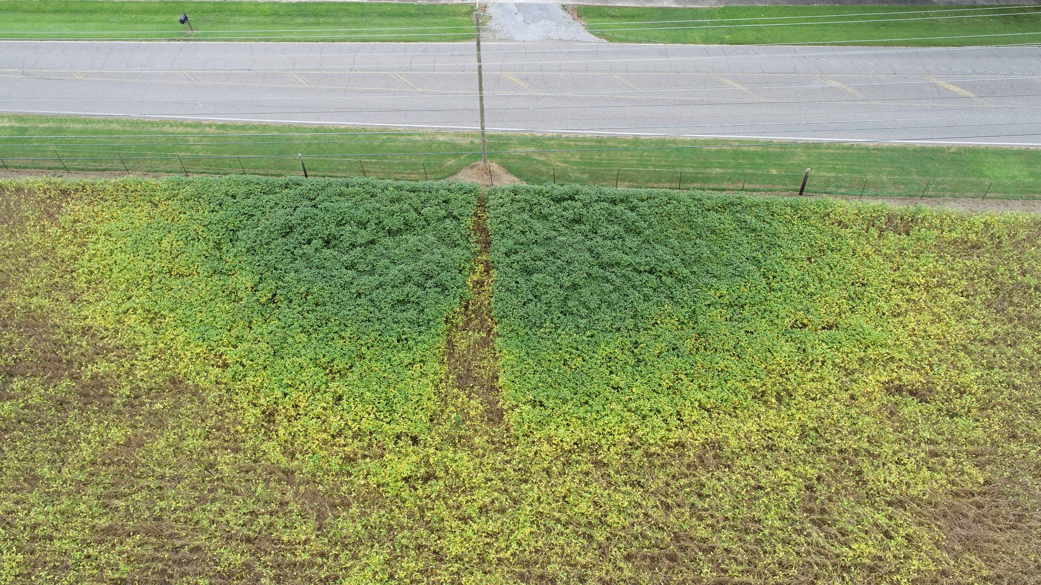 Dwaine Eddie McGriff on Twitter "These drone shots of a soybean field