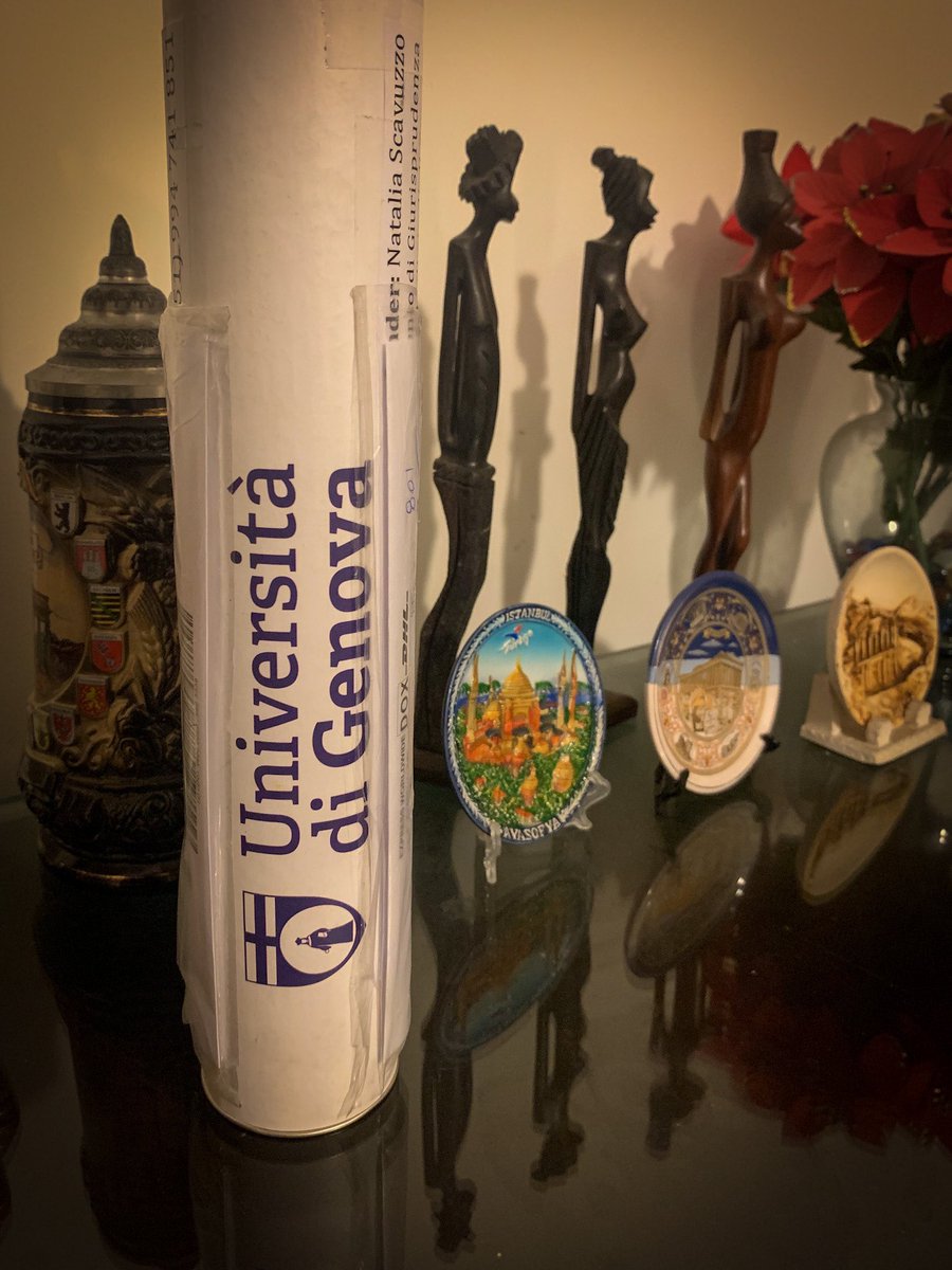 eliaspuelles's tweet photo. #Felicidad | Acabo de llegar a casa extremadamente agotado y una gran sorpresa me esperaba: ¡Mi título apostillado!

Mi agradecimiento eterno a los profesores @jferrerbeltran y @macavaro17 por haberme aceptado y permitirme formar parte de la hermosa familia gironí. https://t.co/qcfcJZFDXp