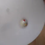 ダイソーに売ってるニワトリの風船がめっちゃ可愛いと話題に!