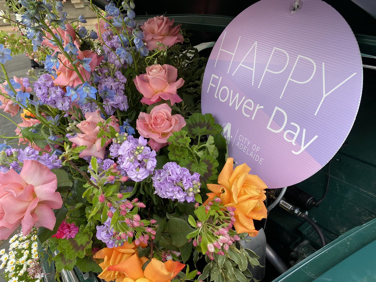 JackBerketa's tweet photo. Flower Day has been a blooming success @CityofAdelaide #FlowerDay https://t.co/lVfRIlB0c8