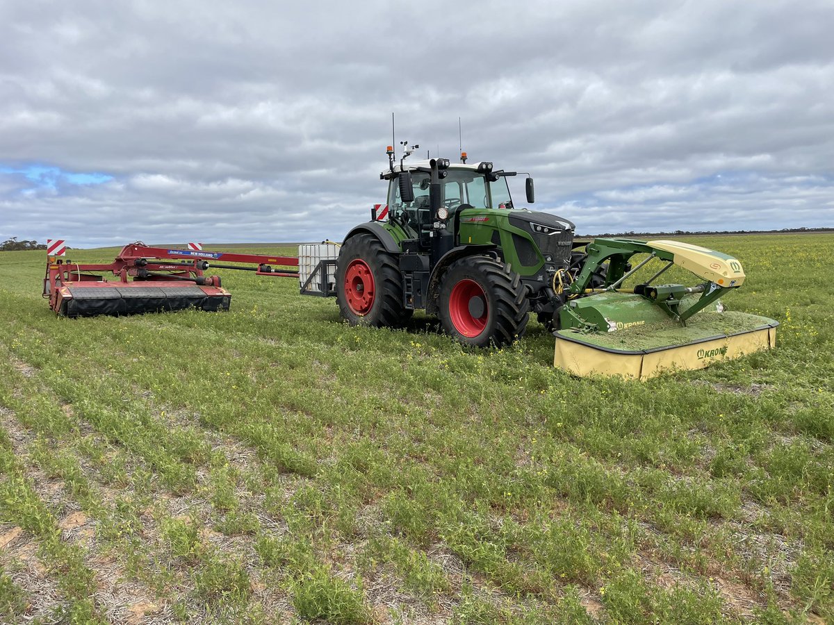Anyone need hay cutting? Based in the SA mallee but can travel. Can spray glyphosate under the row if required.