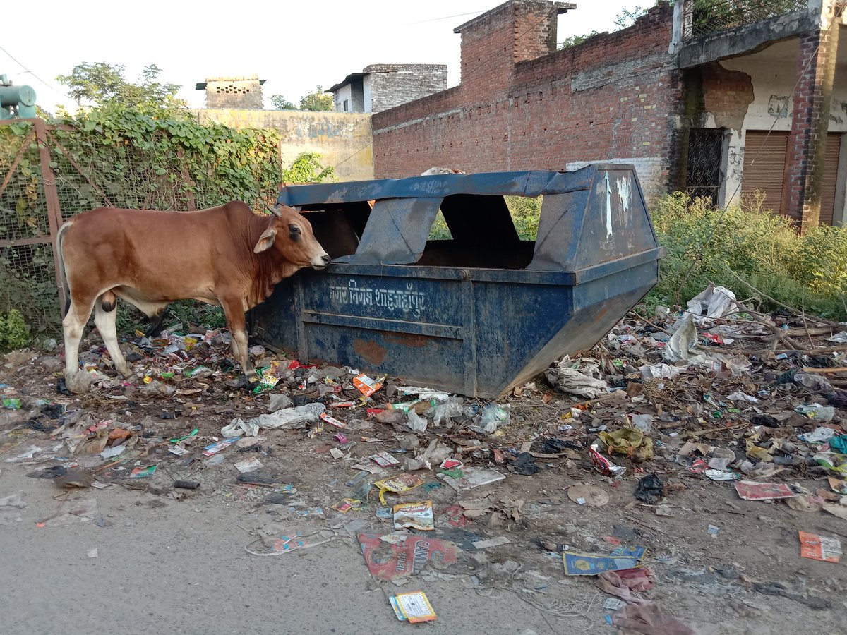 NewsParmarth's tweet photo. @dmupsha शहर के अंदर गंदगी व कचरे का लगा अंबार, कहां सफाई करा रही नगर निगम
शहर की गंदगी स्वच्छता अभियान को दिखा रही ठेंगा
शाहजहांपुर चिनौर के होली एंजिल स्कूल के पास , राकेश हॉस्पिटल के सामने एवम अन्य स्थानों पर भी गंदगी का अंबार https://t.co/1LQ1WWXoCv