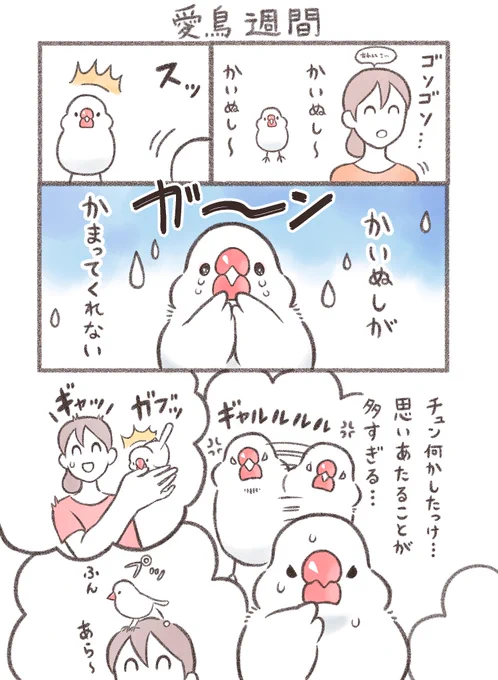 マンガ「愛鳥週間」※同人誌収録バージョン#文鳥 #漫画が読めるハッシュタグ 