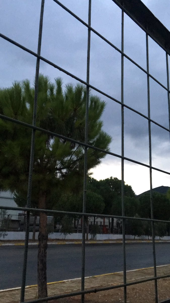 Masai Marada  yine yeni bir gün doğmak üzere… anne çita lusi ve yavrusu mary için zorlu bigün onları bekliyor. Antilop sürüleri ufukta gözüktü, ancak bi sorun var! Azgın suları ve timsahlarıyla savananın hakimi mara nehri! Anne lusinin gözü ufukta, timsahlarında öyle…