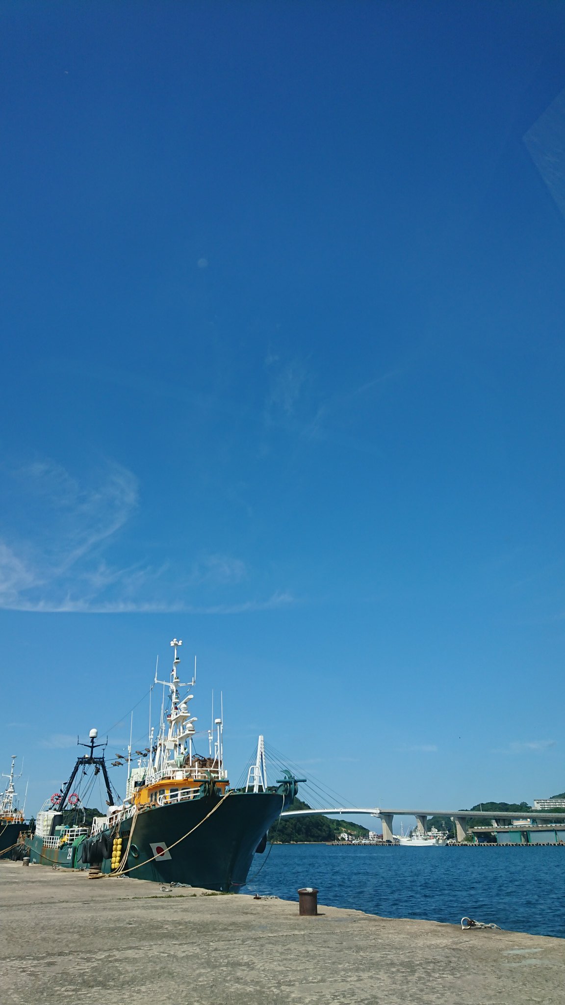 はまだお魚市場 Twitter Search Twitter