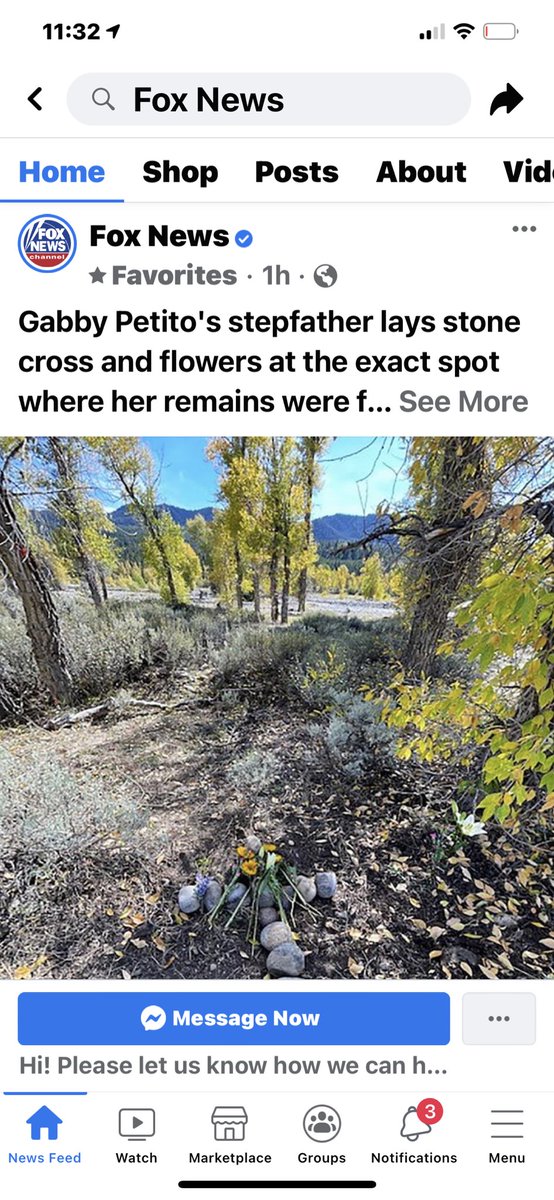 Michirisheyes's tweet photo. @BrianEntin  take a look at this photo going around today.  After looking at this I noticed what appears to be a  cardinal where Gabby was found.  ♥️🙏🏻 https://t.co/whJQKXzzdD