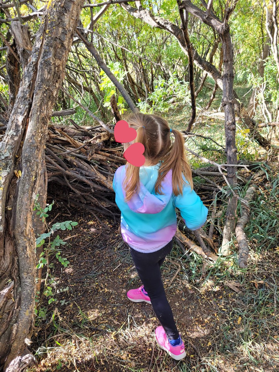 ReilkoffT's tweet photo. Today we welcomed all of our K friends.  Lots of #PlayandExploration both inside &amp; outside in #ForestSchoolBlaineLake.

So many pictures.
So much reflection.
So much fun.

I GET to teach #Kindergarten ❤ https://t.co/PG0VneOCMl