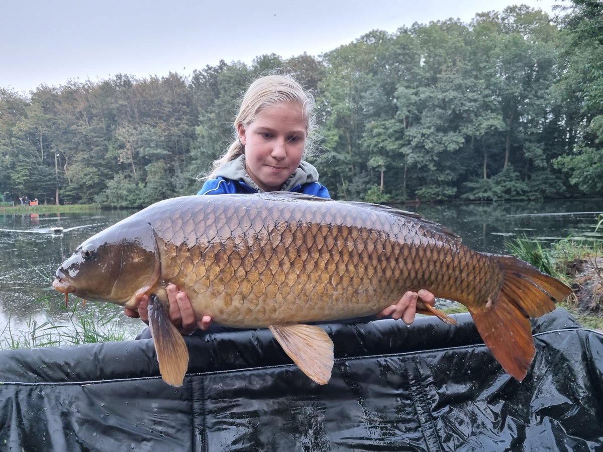 ecbaits's tweet image. 