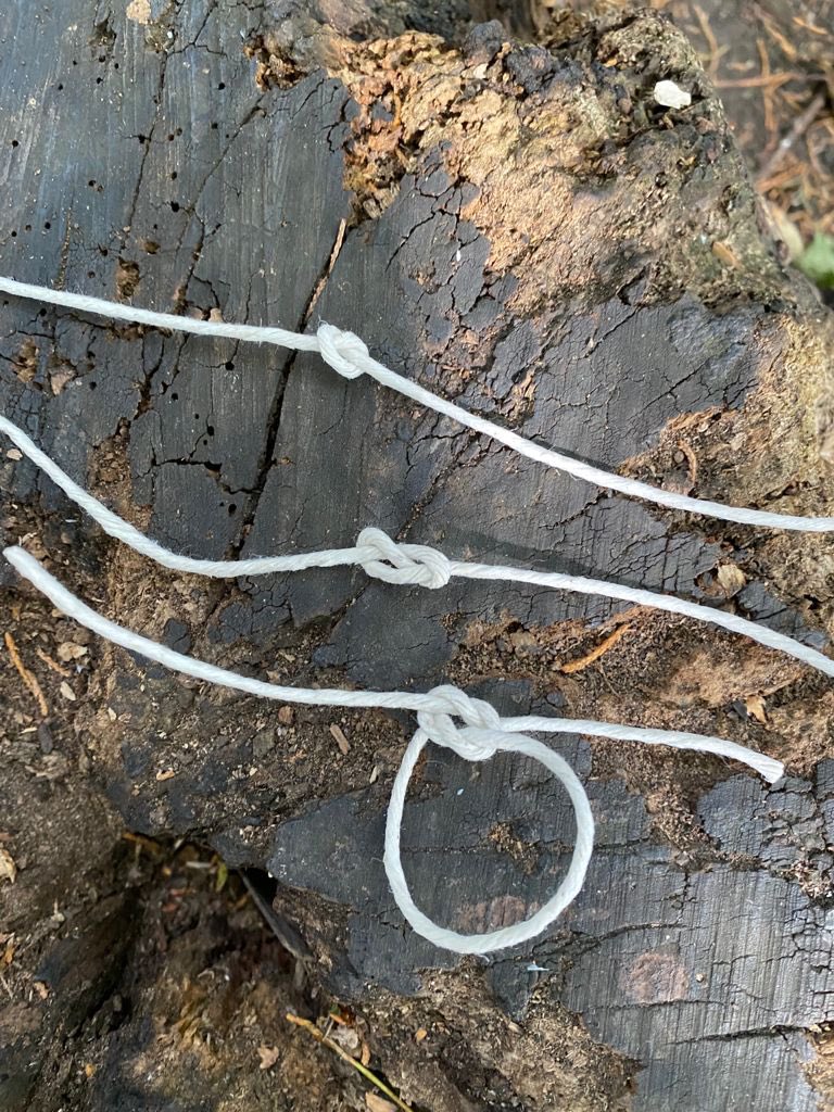primary_avenue's tweet photo. After a session of learning to tie some basic knots, one child went on to build a shaduf (a device used to water crops in ancient Egypt). They are learning about the Egyptians as part of their history topic. Great work! ππΏπͺ΅πͺ’ #woodlandlearning #forestschool #outdoored https://t.co/ntpXQAC3fc