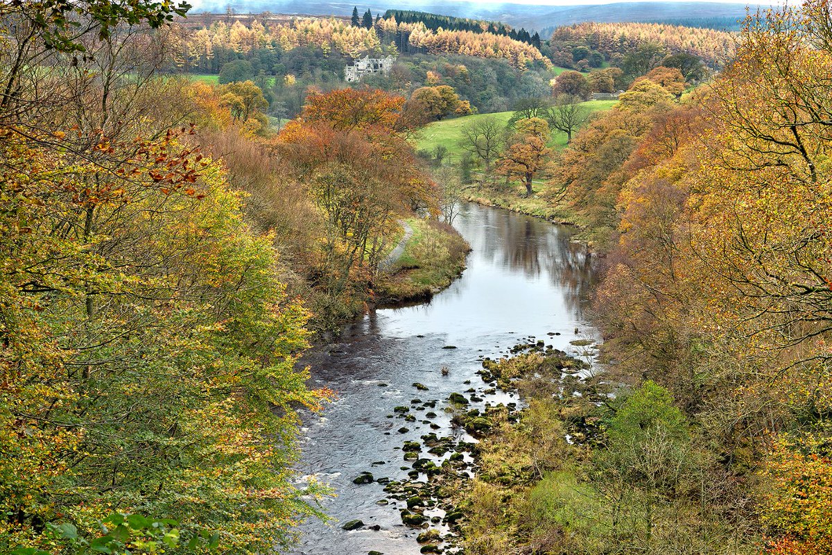 yorkshire_dales's tweet photo. Each morning we open a window to the Dales and share some of our favourite views, like this view of the River Wharfe @bolton_abbey 

#YorkshireDales #Wharfe #BoltonAbbey

📸 Wendy McDonnell https://t.co/AZyqBz20j0
