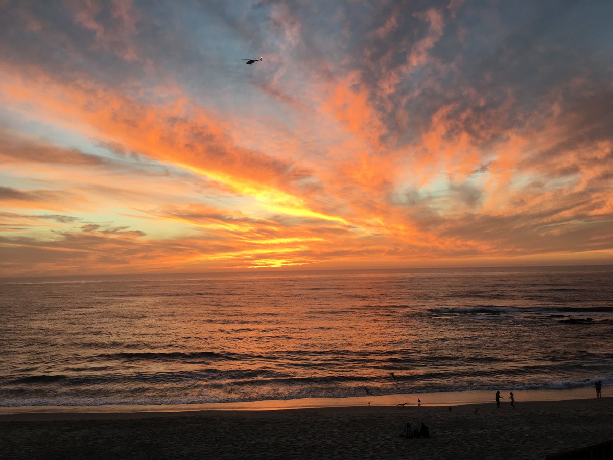 RossanoFederico's tweet photo. I am recruiting PhD students to join @CCLABUCSD @UCSanDiego next year! We study the origins of social accountability looking at communication, cooperation and morality from a cross-cultural, cross-species and developmental perspective. We study Bunny! I promise you these sunsets https://t.co/4cbgsRy03s