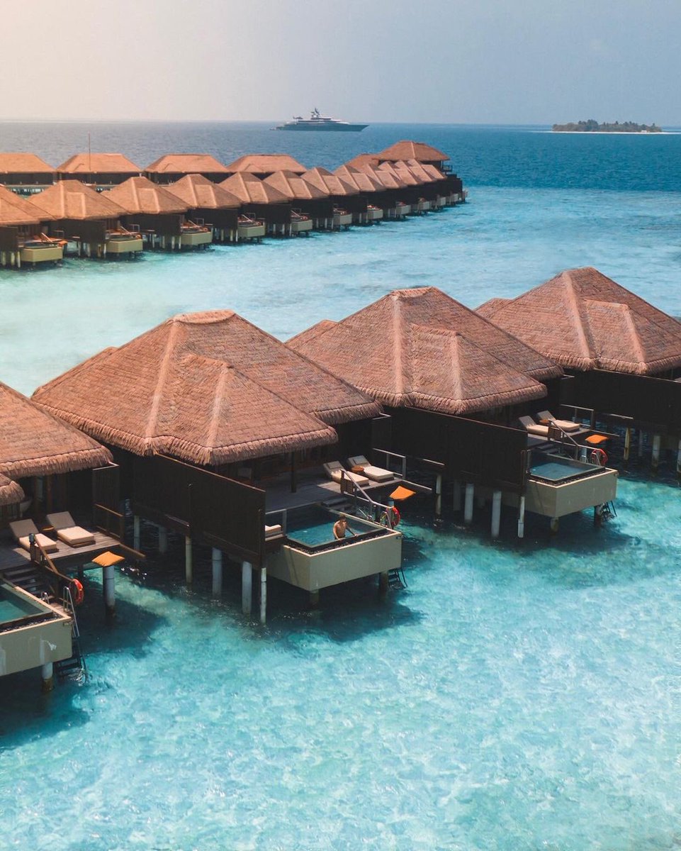 capitaltravel's tweet photo. Are you ready to have the vacation of a life time?
We have exclusive discounts and offers for those who are booking their winter holiday early!
#AyadaMaldives #maldivesresorts #maldiveslovers #vacationgoals #PremiumAllinclusive #luxury #maldives #resorts #private #privacy #love https://t.co/qWP3jnFpvM