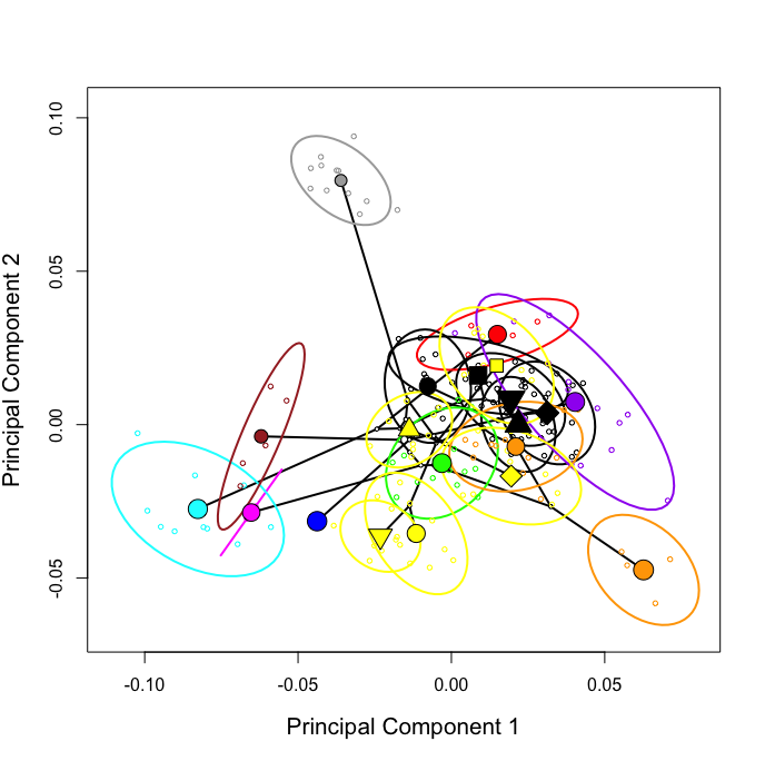 DrEmSherratt's tweet image. Some fun with #RStats code for #morphometrics. A phylomorphospace, but with 80% confidence elipses around each species&apos; average value (l), inspired by Klingenberg &amp;amp; Gidaszewski&apos;s 2010 Sys Biol Fig 6 (r). A way to show within-species variation. Data from peerj.com/articles/2453/