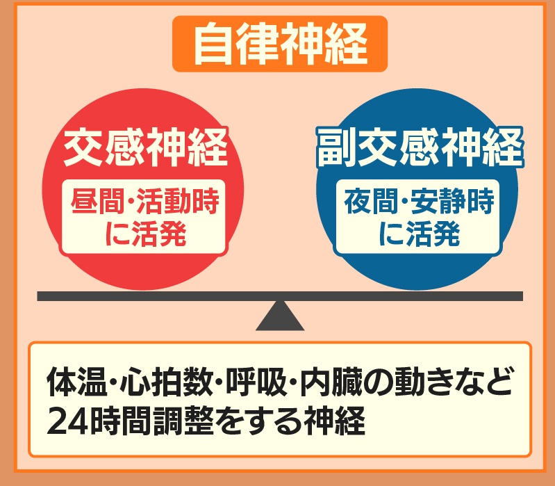 تويتر 羽鳥慎一モーニングショー على تويتر 寒暖差が激しい時は 寒いと熱産生 つまり熱を作り出そうとし 暑いと放熱しようとします 体温調整のため 交感神経が酷使されると 自律神経が乱れ 機能が低下 体が疲労します Https T Co Bb5orpqlam