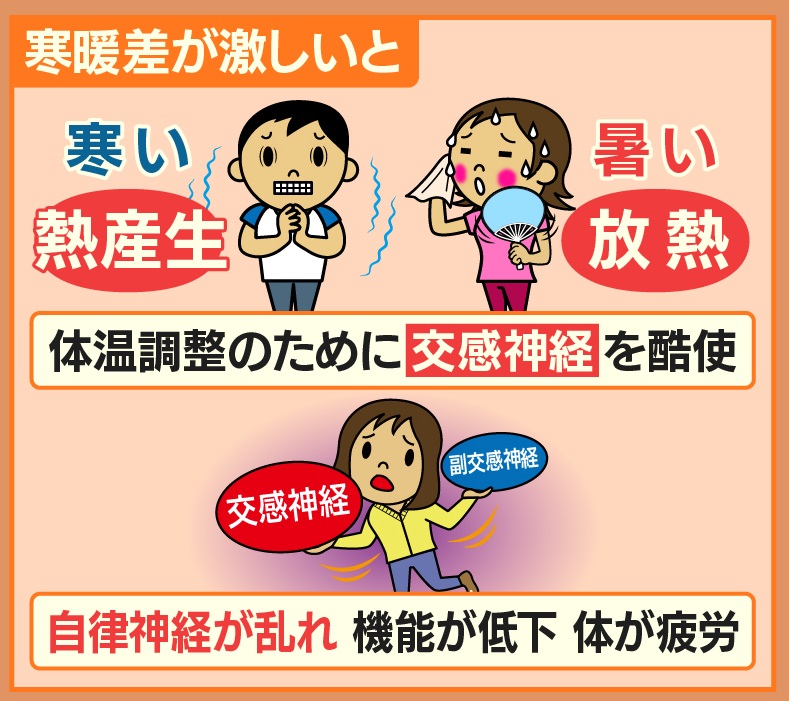 Twitter 上的 羽鳥慎一モーニングショー："寒暖差が激しい時は、寒いと熱産生…つまり熱を作り出そうとし、暑いと放熱しようとします。  体温調整のため、交感神経が酷使されると、自律神経が乱れ 機能が低下、体が疲労します。 https://t.co/bb5OrpQlaM" /  Twitter