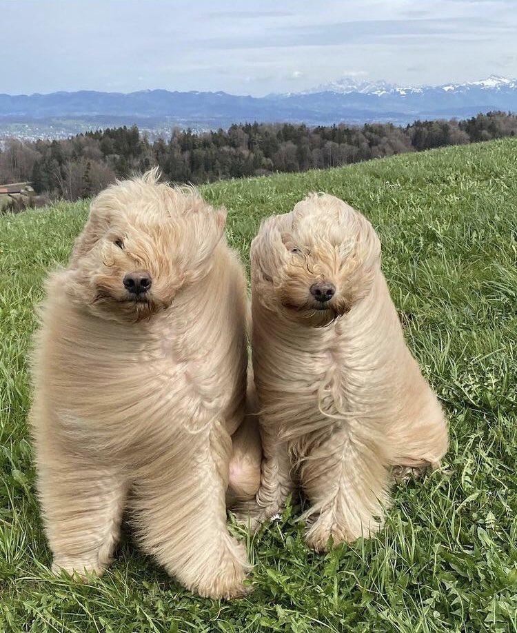 아.. (@hut4ari) on Twitter photo 